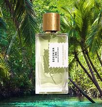 goldfield and banks bohemian lime